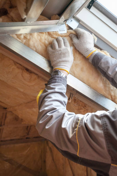 Best Residential Insulation in Wahpeton, ND
